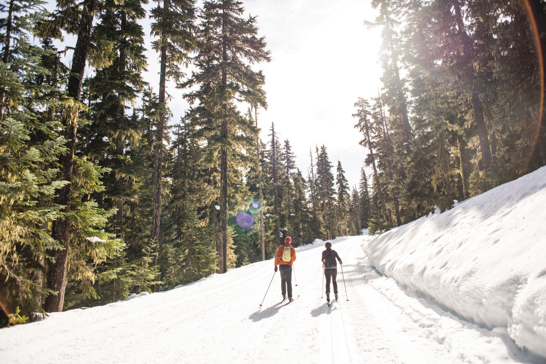 Where to Snowshoe, XC Ski, and Sled on Mount Hood