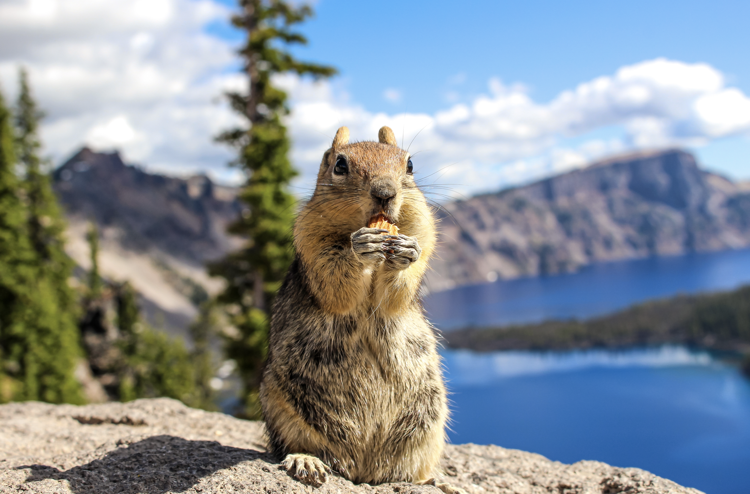 Screenshot 2025-12-05 at 3.13.48 PM