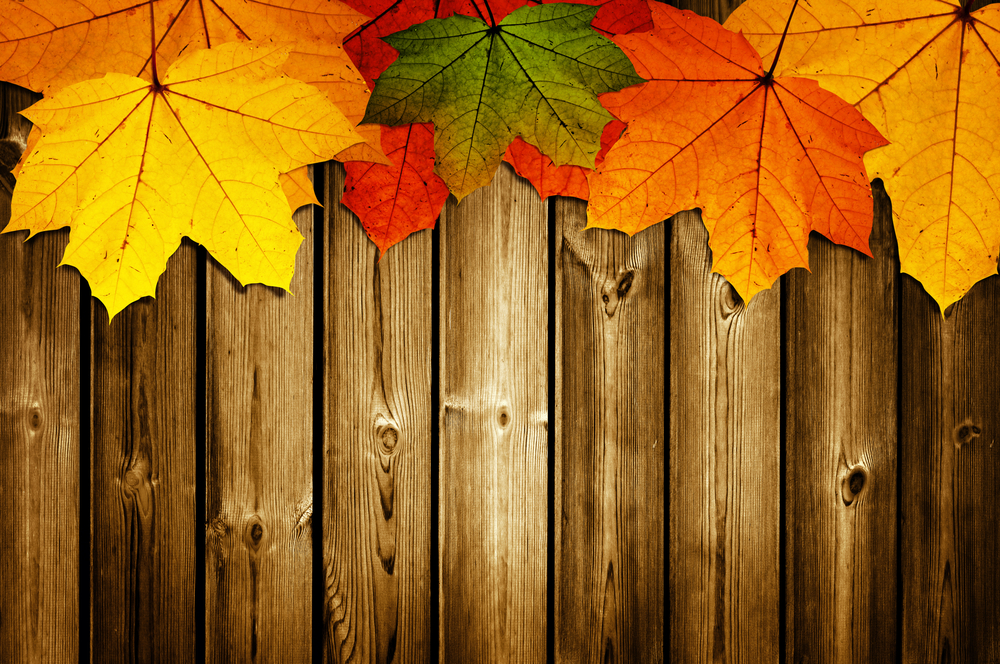 wooden background with autumn maple leaves